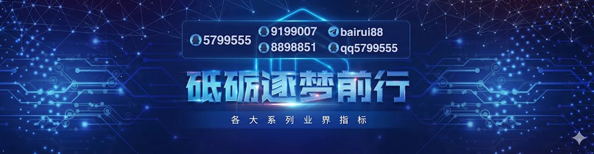 百瑞团队